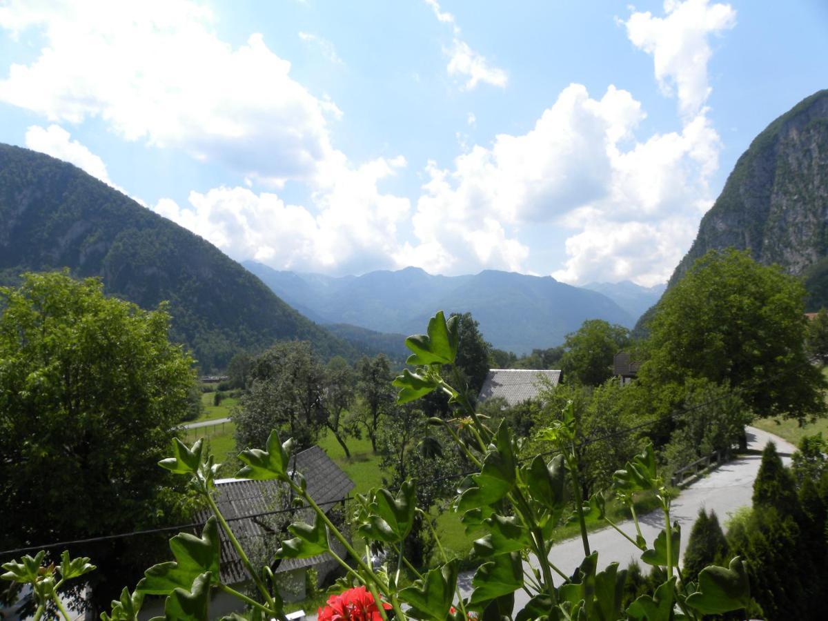 Apartma Cvetek, Srednja Vas 133 Bohinj Exterior photo